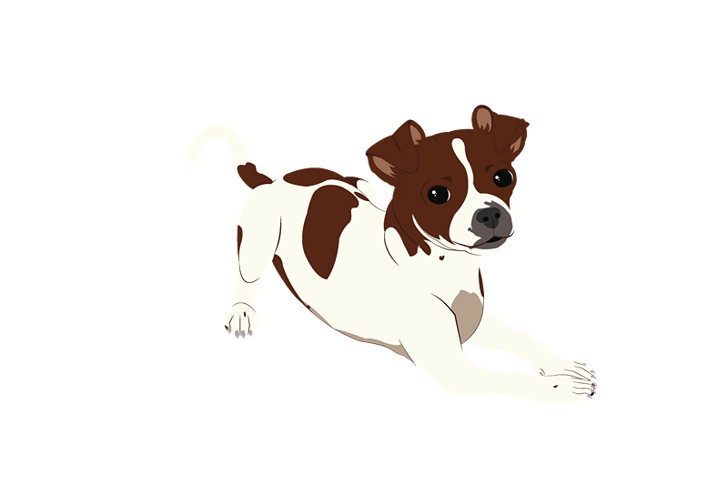 Minnie the Dog